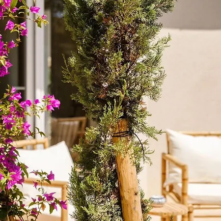 Βίλα Luxurious New Pool Golf St Tropez *